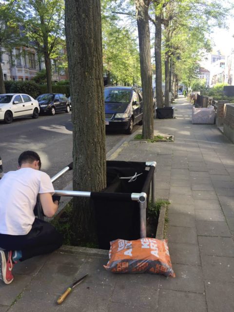 installation de bac pour planter des végétaux