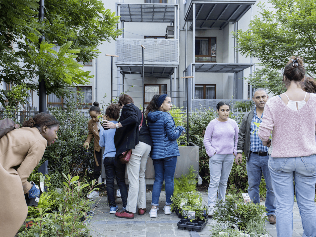 l'atelier de plantation aux Minimes