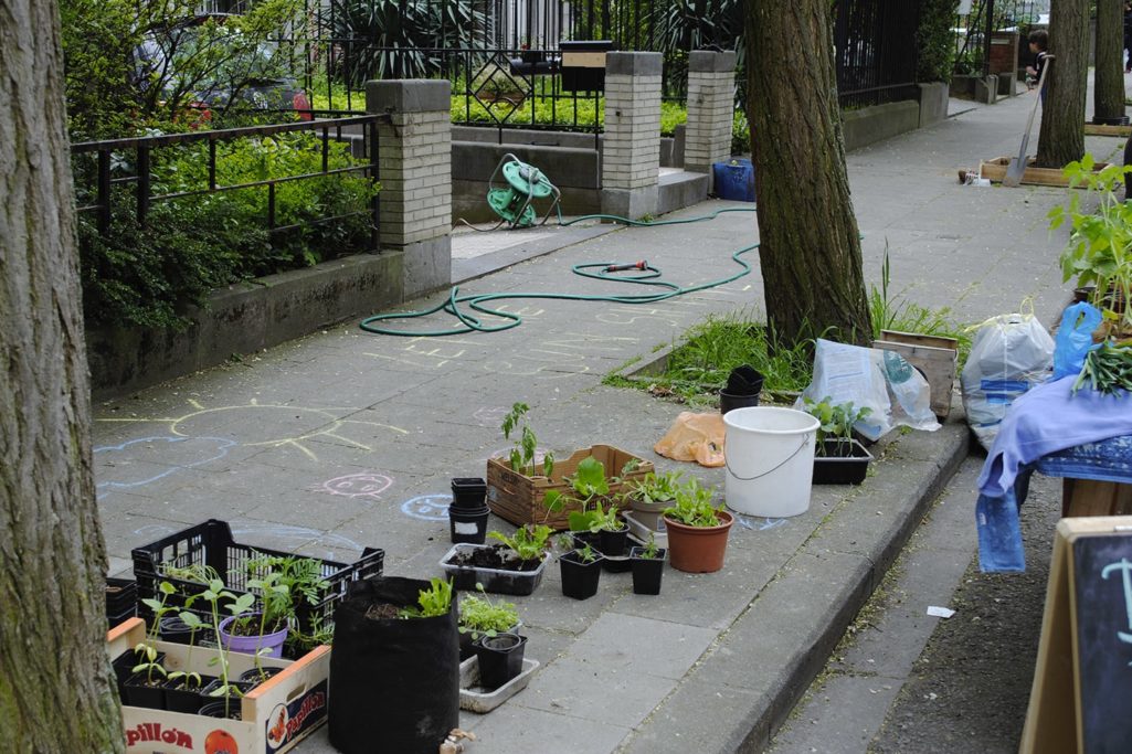 préparation des semis avant la plantation