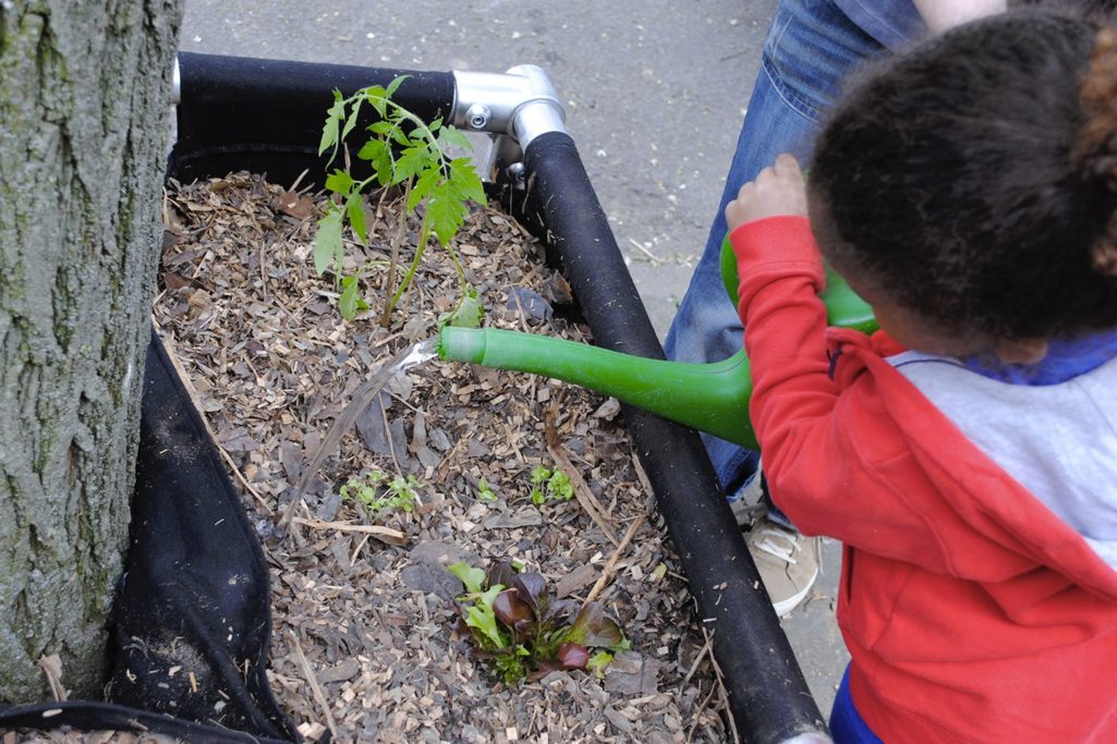 une petite fille arrose son potager urbain