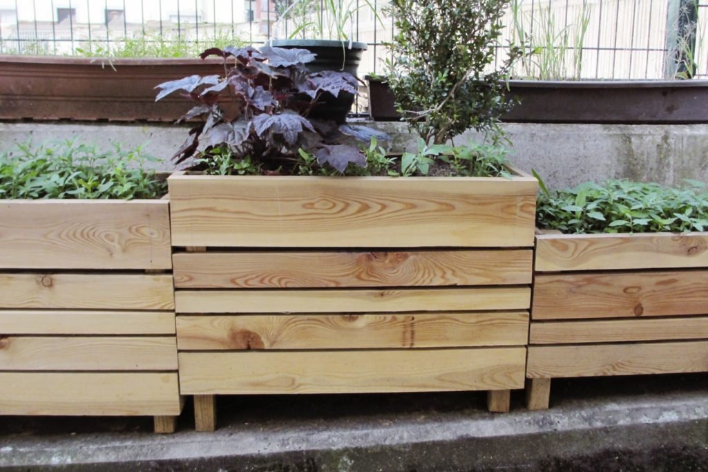 Cultiver ses plantes aromatiques en ville