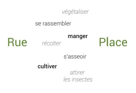 atelier de participation citoyenne pour végétaliser