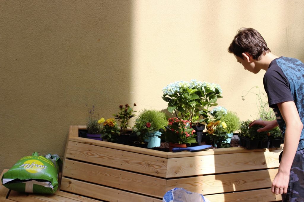 l'adolescent choisit la place des nouvelles plantes